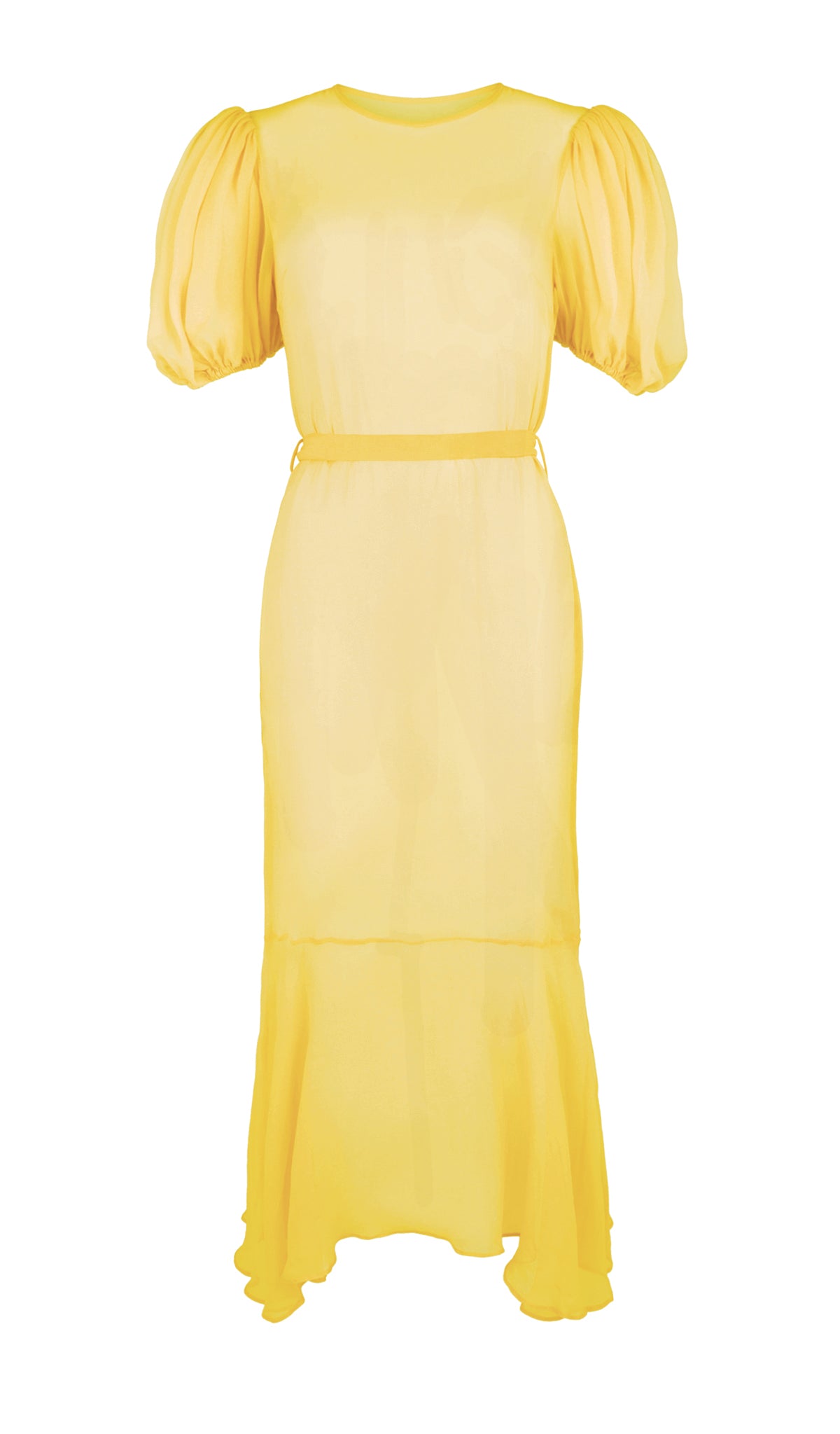 Camellia Volume Sleeve Maxi Dress